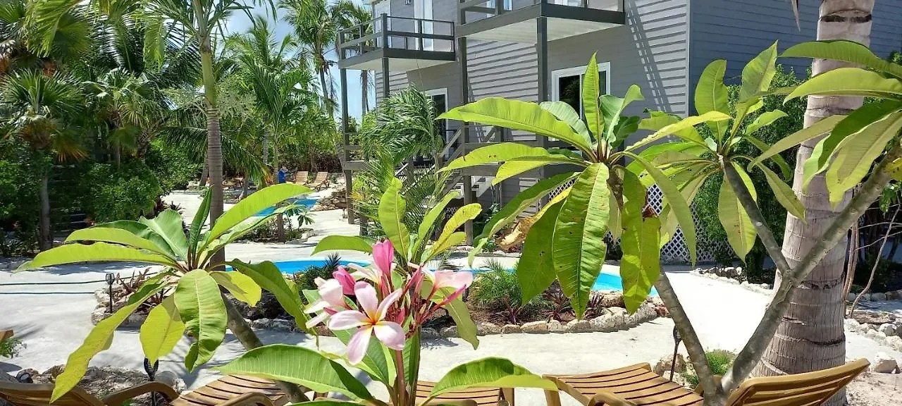 Apartament Migrate Beach Chalets North Palmetto Point 0*,  Bahamy