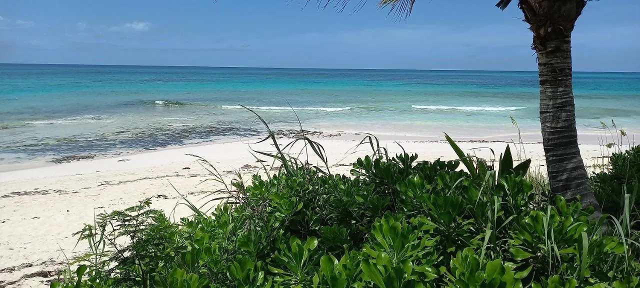 Apartament Migrate Beach Chalets North Palmetto Point