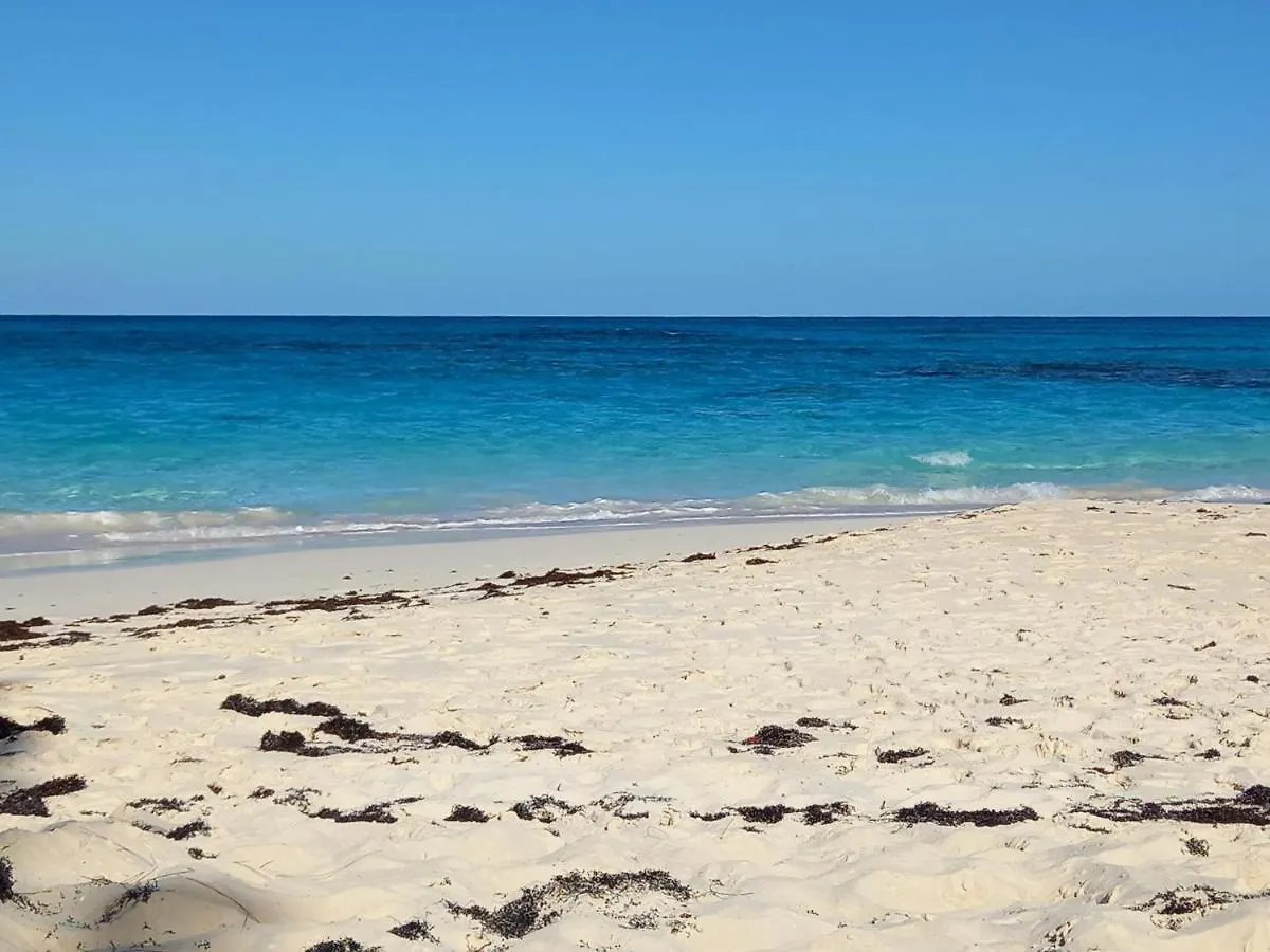 Apartament Migrate Beach Chalets North Palmetto Point