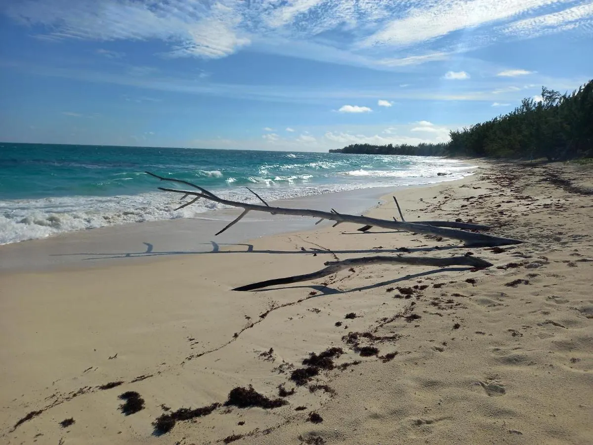 Apartament Migrate Beach Chalets North Palmetto Point